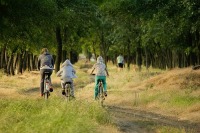 Vacationers bicycling on a new trail